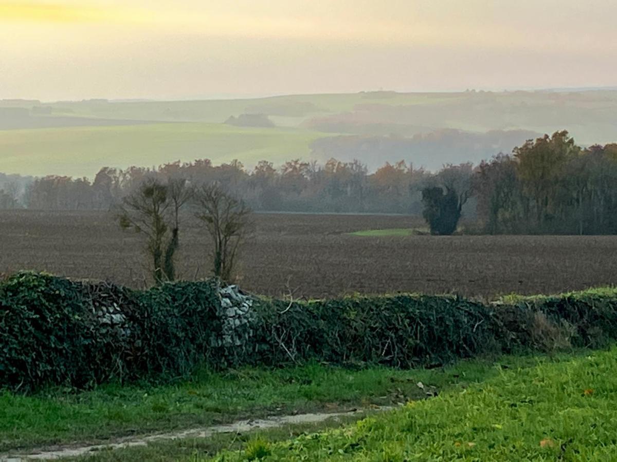 Voyage… Noyers-sur-Serein Exterior foto